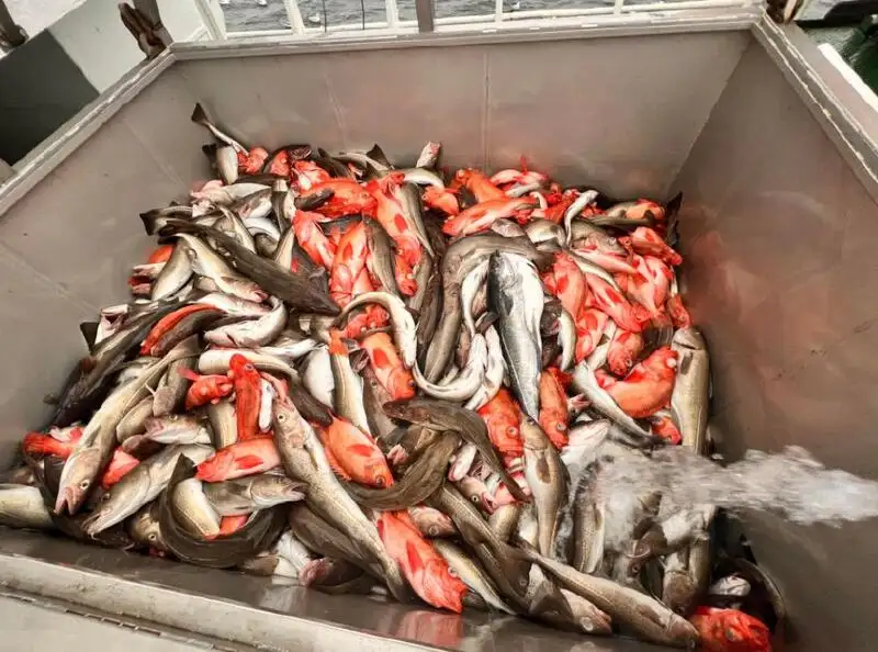 Fiskeritrawler til salg