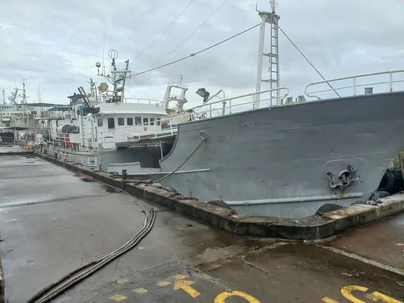 Langlinefartøj til salg