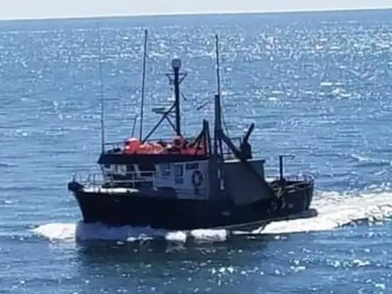 Langlinefartøj til salg