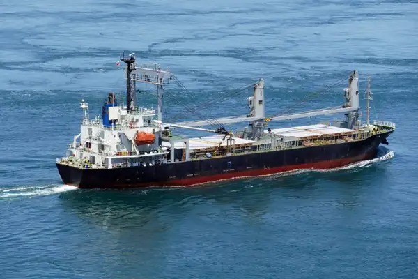 Bulk carrier for sale