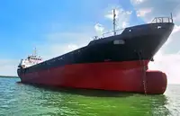 Containerskib til salg