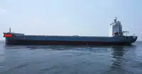 Containerskib til salg