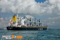 Bulkskib til salg