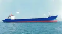 Containerskib til salg