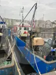 Levende fiskebærer til salg