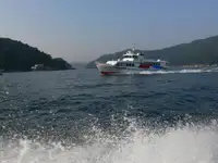 Færgefartøj til salg