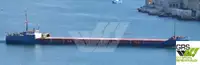 Bulkskib til salg