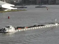 Bulkskib til salg