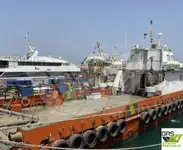 vindmøllefartøj til salg