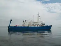 Multi-purpose til salg