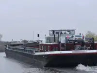 Bulkskib til salg