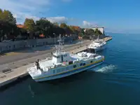 Katamaran til salg