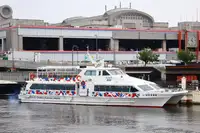 Motorfartøj til salg