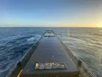 Cargo liner til salg