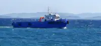 Trækbåd til salg