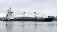Bulkskib til salg