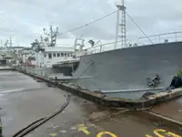 Langlinefartøj til salg