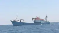 Containerskib til salg