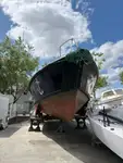 Pilotbåd til salg