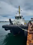 Trækbåd til salg
