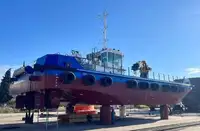 Containerskib til salg