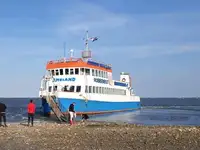 Motorfartøj til salg