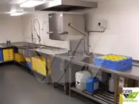 Containerskib til salg